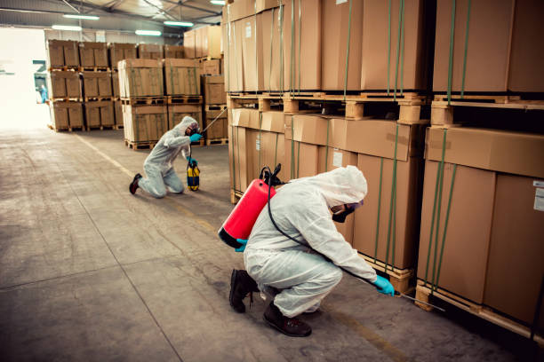 Best Pest Control Near Me  in Haliimaile, HI