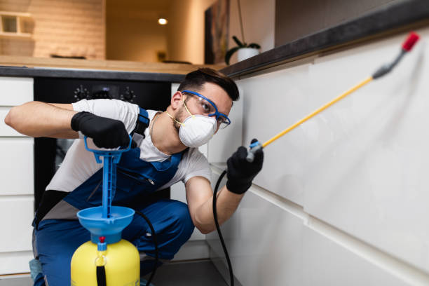 Best Best Pest Control Companies  in Haliimaile, HI