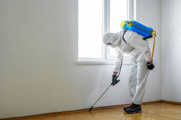 Best Mosquito Control Services  in Haliimaile, HI