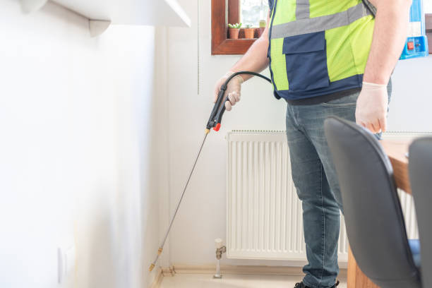 Reliable Haliimaile, HI Pest Control Solutions